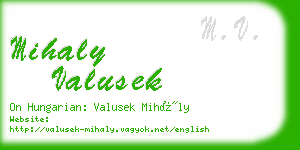 mihaly valusek business card